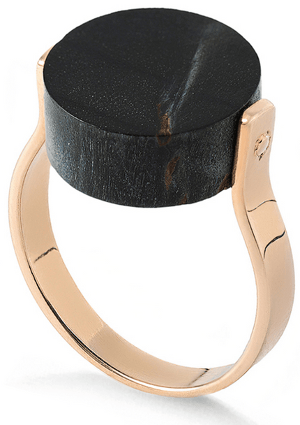 O Călătorie în Timp a Bijuteriilor Unice - Lemnul Fosilizat - Artor